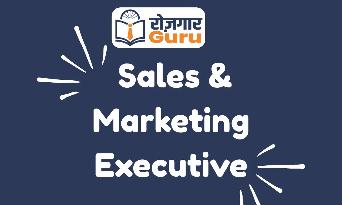 Sales & Marketing Executive
